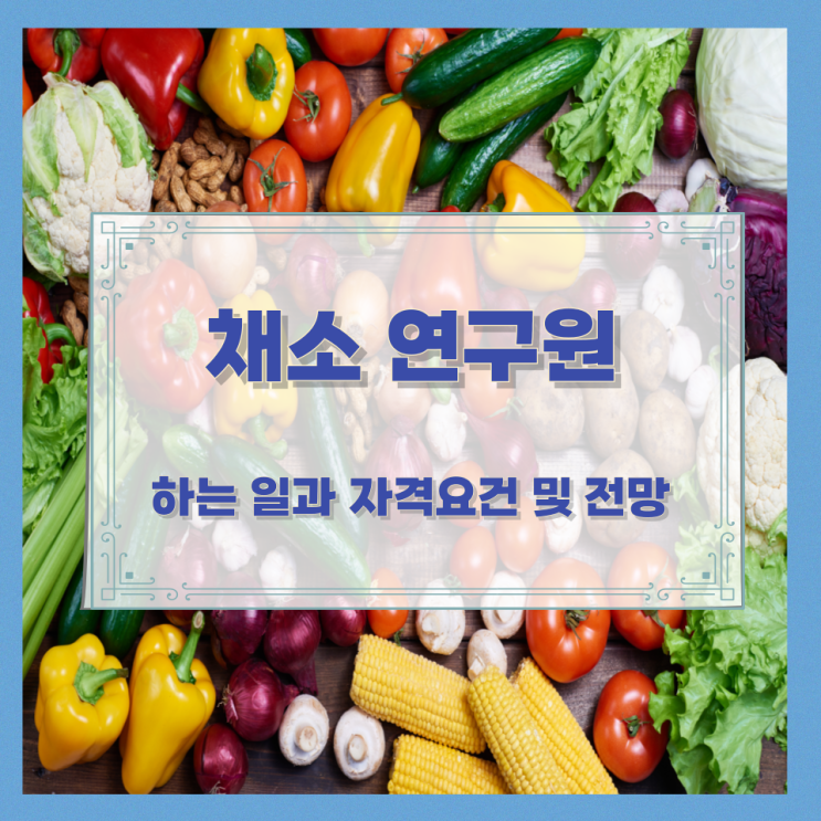 채소 연구원이 하는 일과 자격요건 및 전망 채소 연구원이 하는 일과 자격요건 및 전망