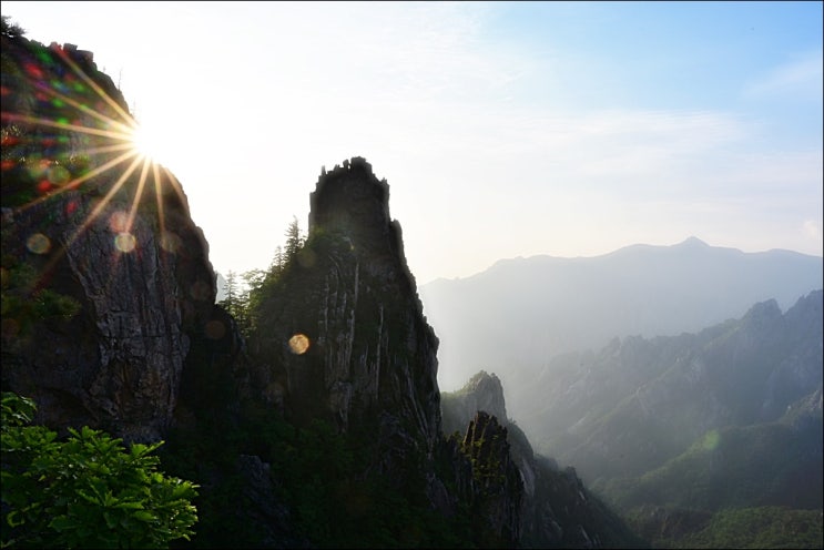  등산인의 영원한 로망... 설악산 공룡능선 산행(일출, 등산코스, 난이도, 연잎꿩의다리, 만주송이풀, 산솜다리, 금강봄맞이)