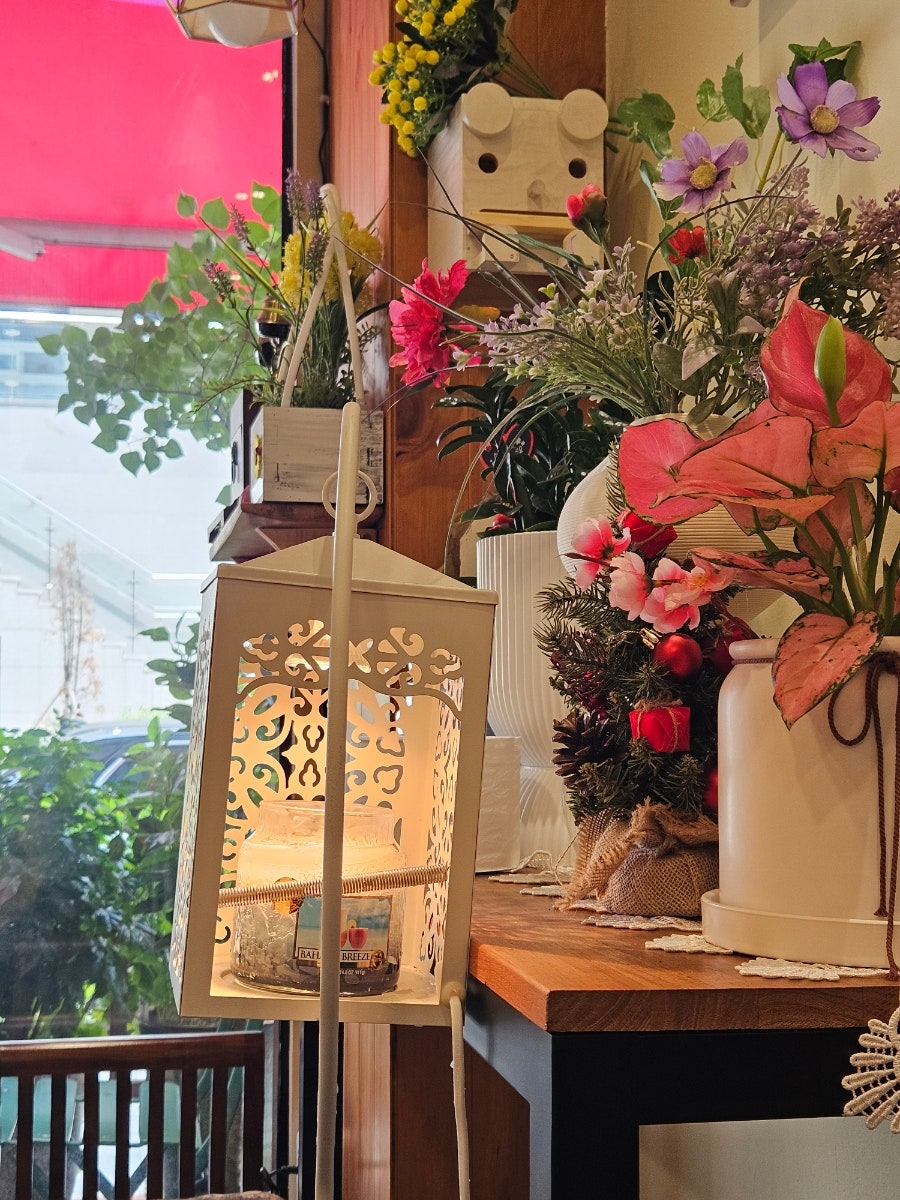 앙젤리나 사진 4
