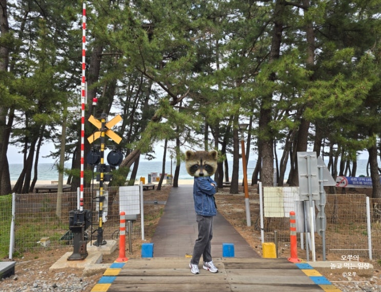  [2025년 봄 1박2일 원주-강릉 여행] 등명해변