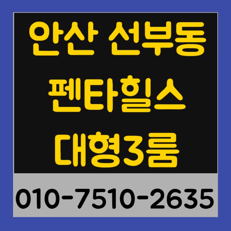  안산 선부동 펜타힐스 대형 3룸 신축빌라 최저실입주금
