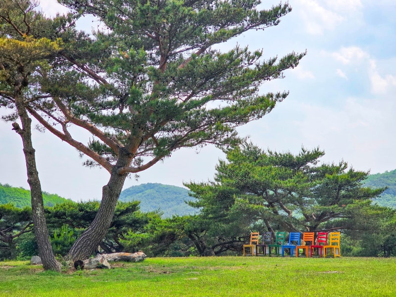 사진 4