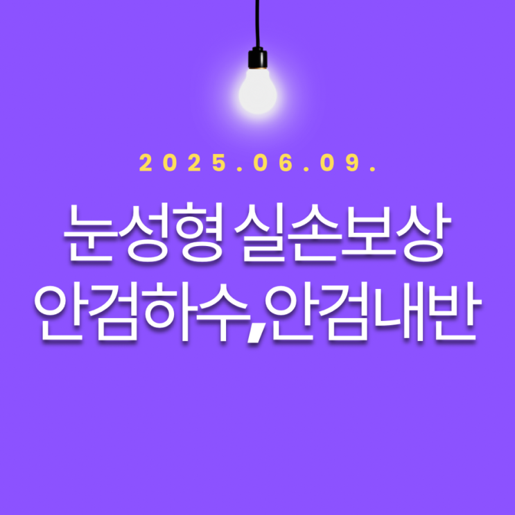 눈성형 실손보상(안검하수/안검내반)-시각기수술분류표