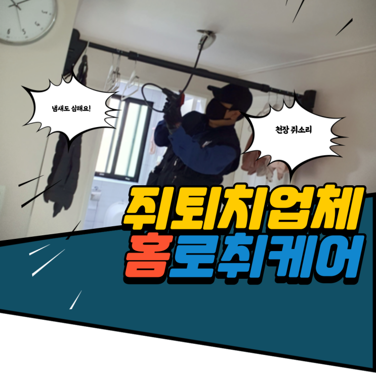 주방 쥐퇴치 천장 수상한 소리 전문가 해충 업체와 함께!
