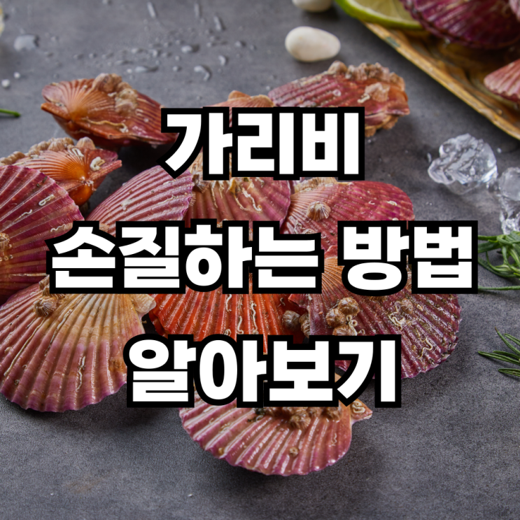 가리비 해감 필요없는 이유 가리비 세척법 알아보기