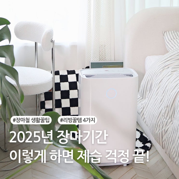  장마철 습기 잡는 리빙꿀템 BEST 4 쾌적 살림노하우