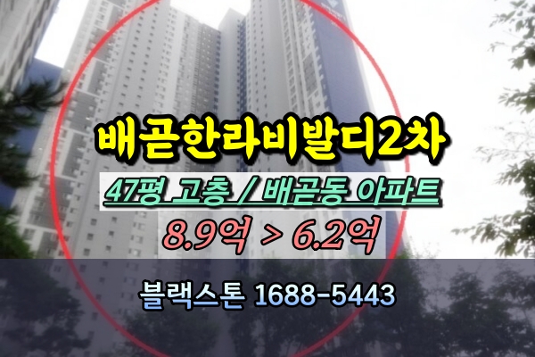 배곧동 한라비발디캠퍼스 2차 경매 47평 고층