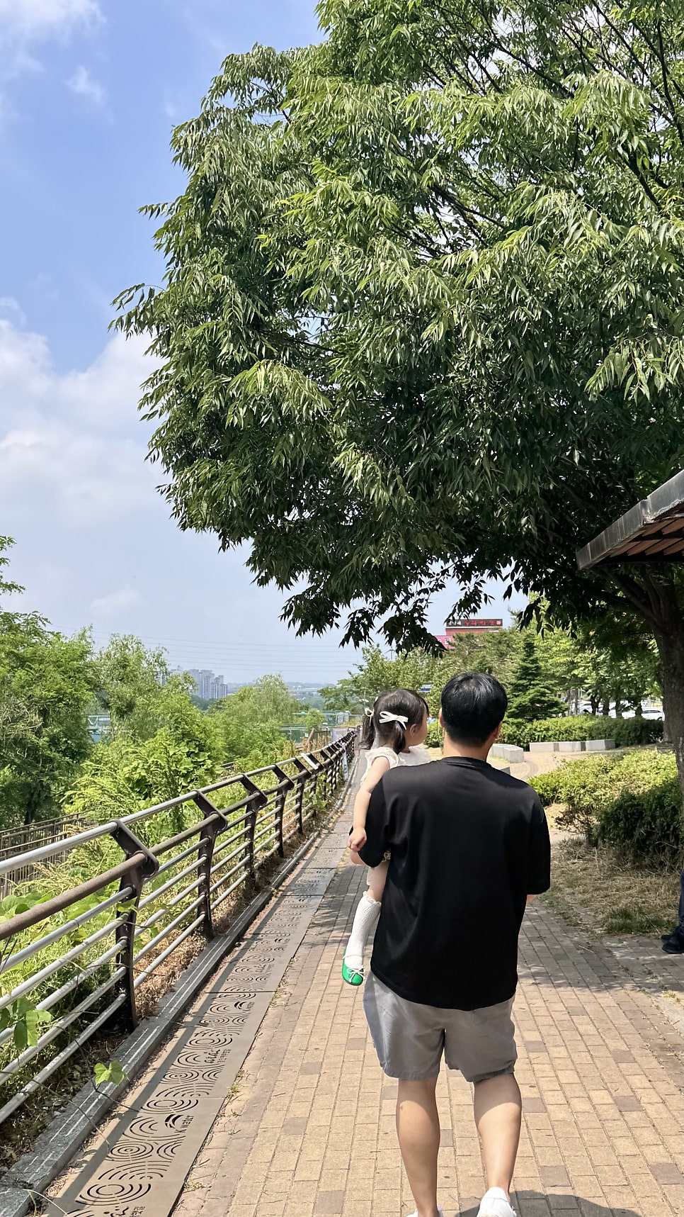산골감나무집 사진 3