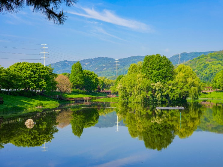  서울 근교 산책 가볼만한곳, 구리 장자호수생태공원(주차장, 교통편)
