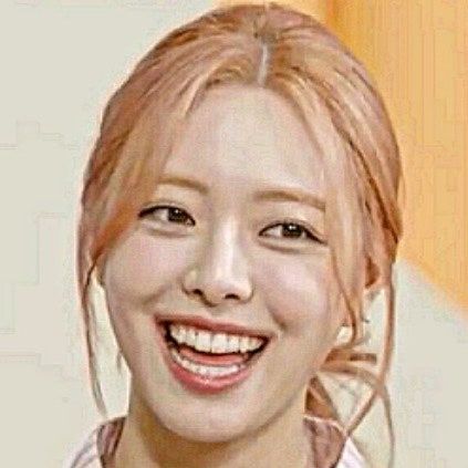 있지 MBTI, 있지 예지 키 166cm, 있지 유나 실제 키, 태연 실제 키, 있지 류진 키, 류진 나이, 채령....