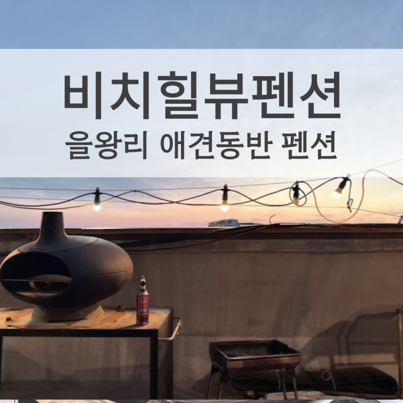 인천 을왕리 비치힐뷰하우스펜션 애견동반 강아지랑 1박 2일 힐링 여행
