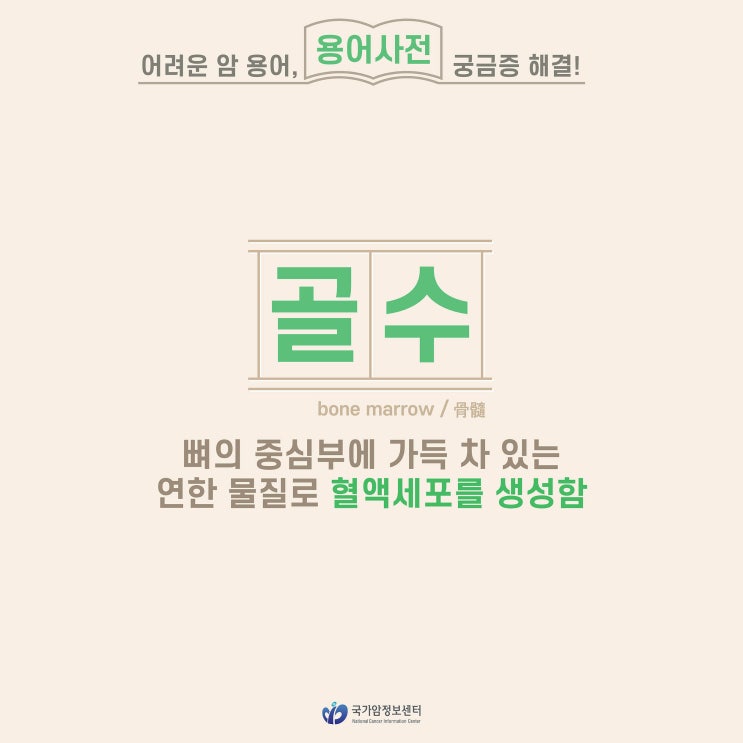  [암 용어사전] 골수
