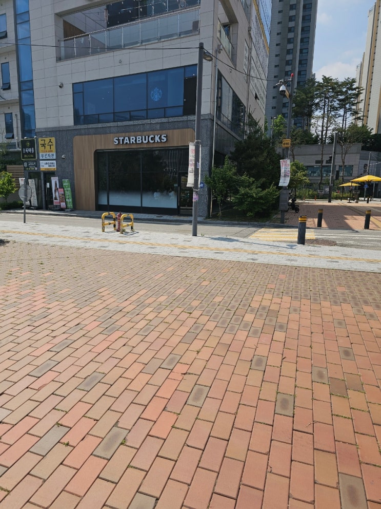  자몽망고코코 프라푸치노 스타벅스 별 12개 쿠폰으로 커스텀 도전