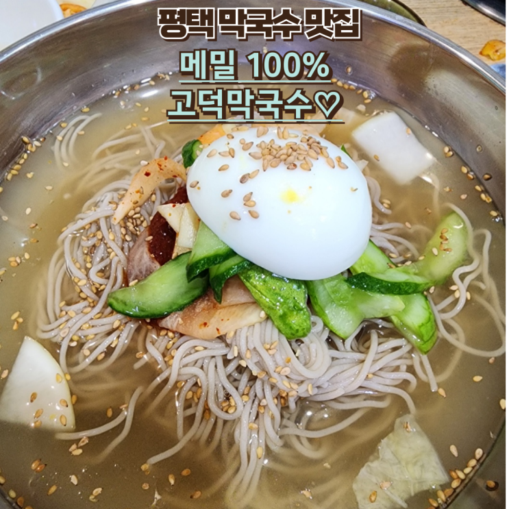  내돈내산 평택 맛집 : 고덕막국수 방문기