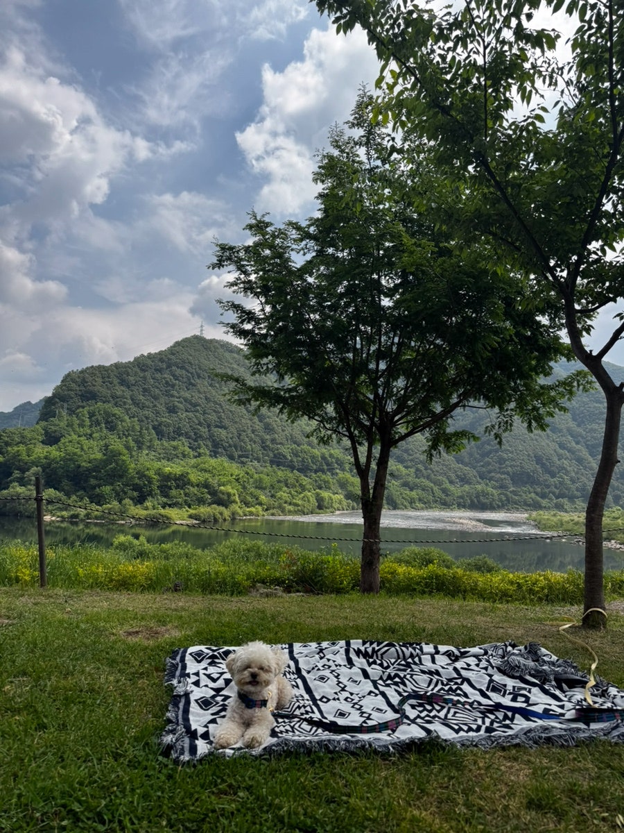 동강카누캠프 사진 2