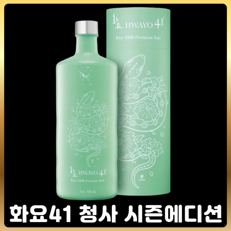  화요41 청사 시즌에디션