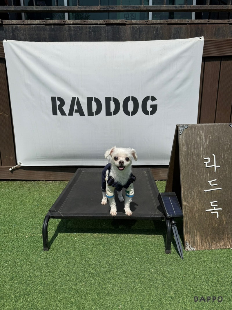 사진 7