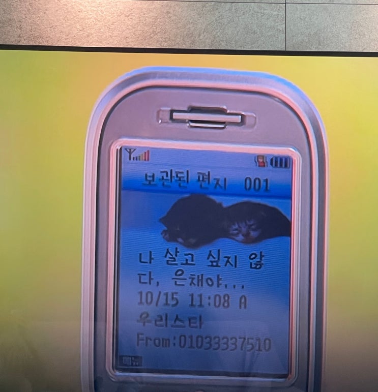  [일상기록] 2025년 5월