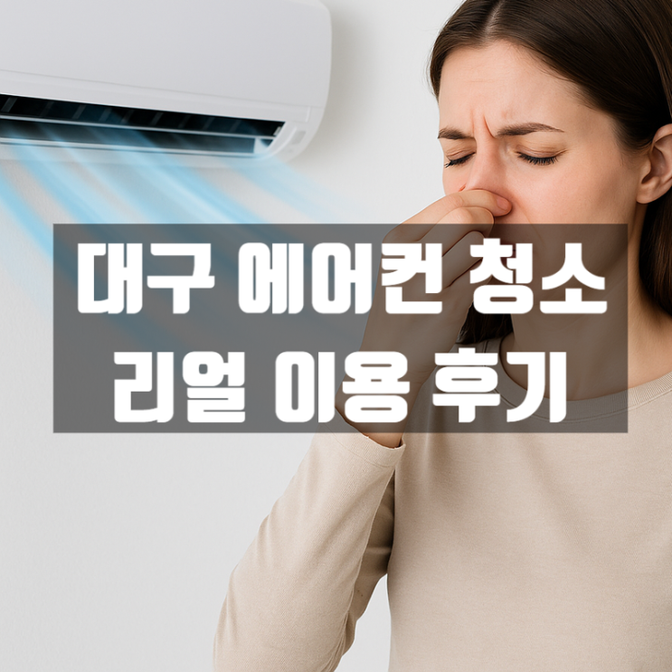  대구 에어컨 청소 전문 진케어, 내돈내산 곰팡이 제거 찐후기