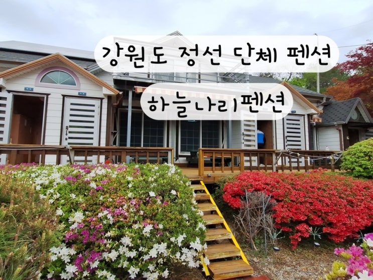  [강원도 정선] 구미정계곡 세미나실 단체 독채 정선펜션 하늘나리펜션 예약 방법 링크