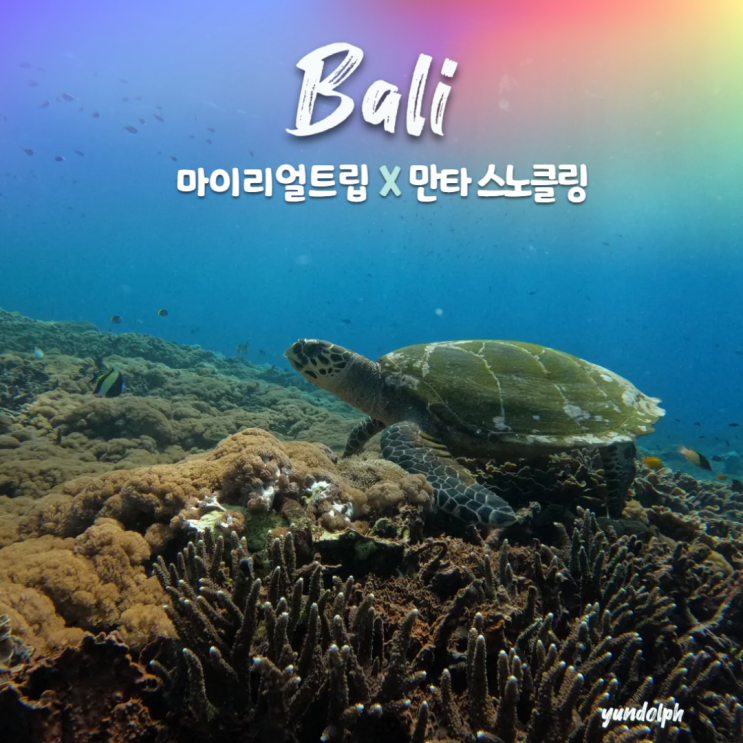  [발리•누사렘봉안] 만타 가오리 볼 수 있는 스노클링 후기