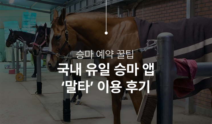  승마 예약 꿀팁! 국내 유일 승마 앱 ‘말타’ 써보니…