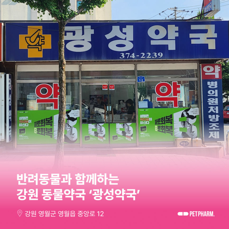 광성약국 사진 1