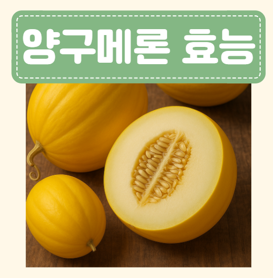 양구메론 후숙 제철 효능 노란메론 혈당 부작용