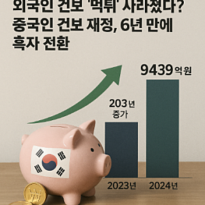 외국인 건보 ‘먹튀’ 사라졌다? 중국인 건보 재정, 6년 만에 흑자 전환