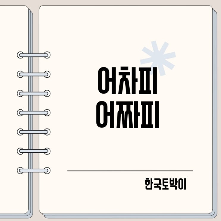  어차피 어짜피 맞춤법 어차피가 한자라고?