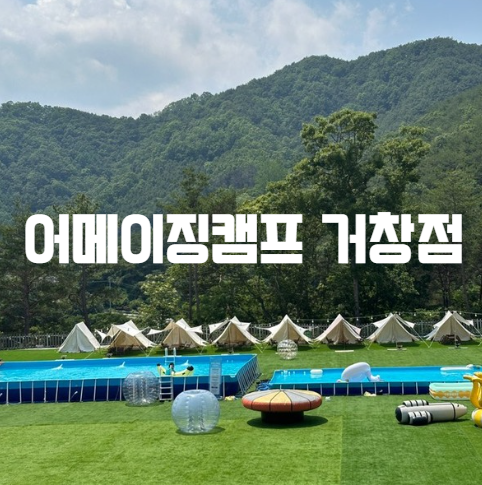 어메이징애견캠프 — 거창군