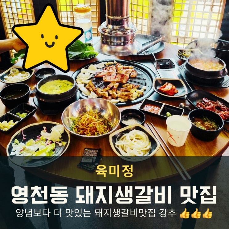  동탄 영천동 돼지생갈비! 11자상가 고기집 육미정, 고기 구워주는 찐맛집!
