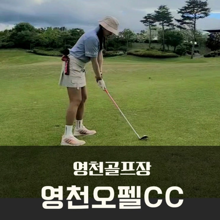  대구근교 영천골프장 영천오펠cc 최상급 그린 굿!