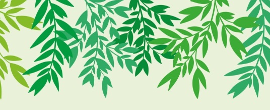 야관문 효능 4가지 및 주의사항(야관문차 야관문주)