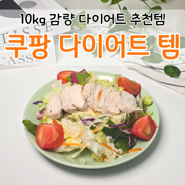  여름맞이 쿠팡 다이어트 음식 추천템