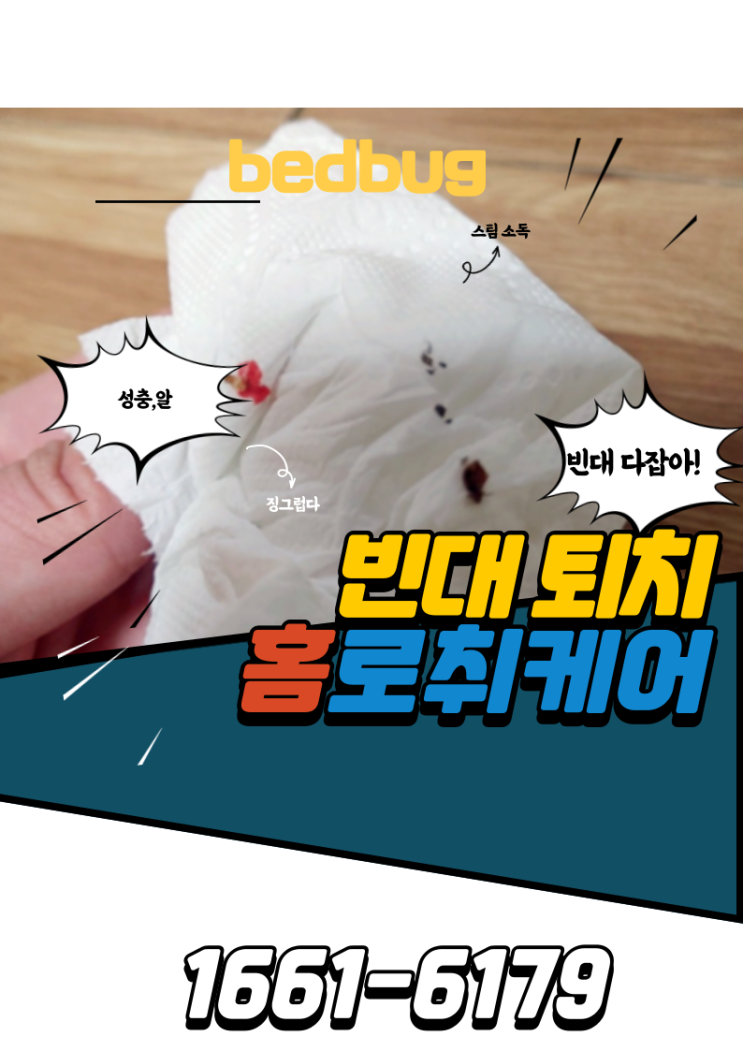 아파트 빈대퇴치 자고 나면 간지러움 확실한 해충박멸 여기요!