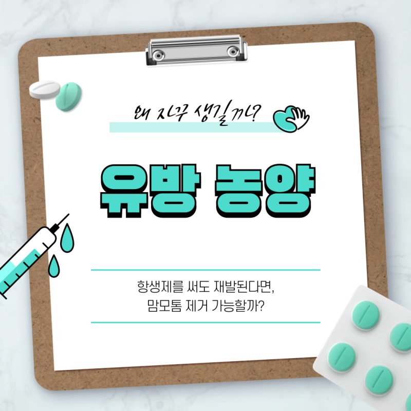 유방농양 항생제 써도 재발된다면, 맘모톰 제거 가능할까?