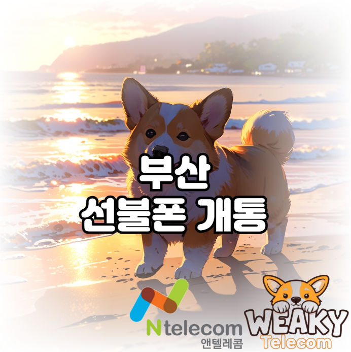  부산 선불폰 개통 나 혼자 스스로 진행하고 싶다면?