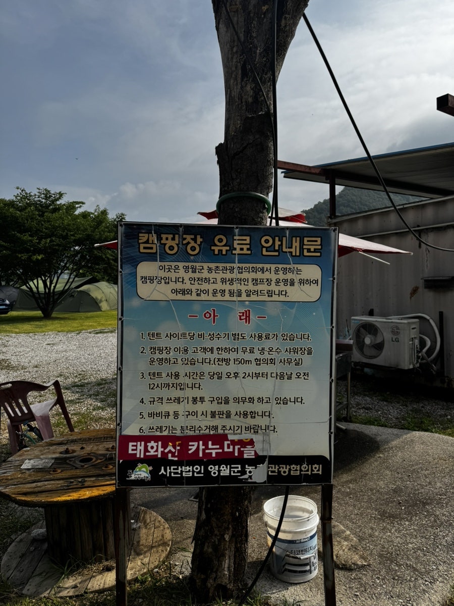 동강카누캠프 사진 5