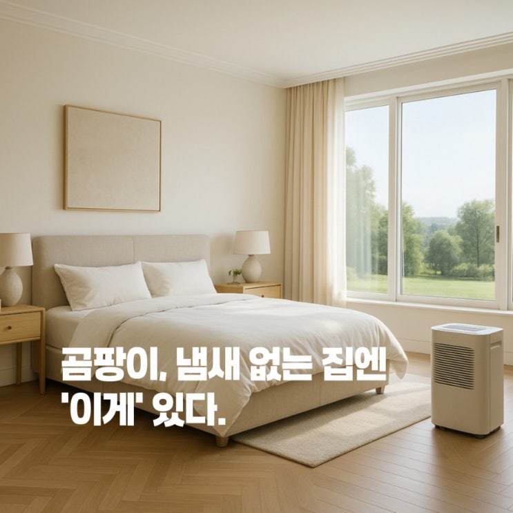  뽀송한 집 그 사람들은 몰래 이걸 쓰고 있었어요