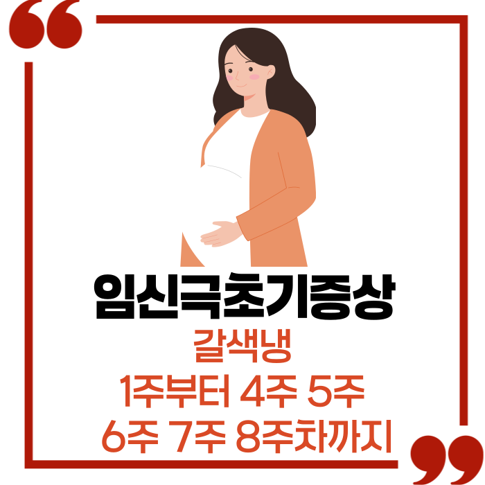  임신극초기증상 갈색냉 1주부터 4주 5주 6주 7주 8주차까지