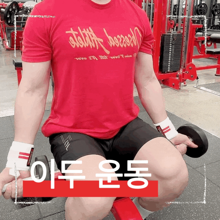  왕팔 만들기 핵심 이두근 운동 덤벨컬 해머컬 EZ바 컬 완전정복 루틴