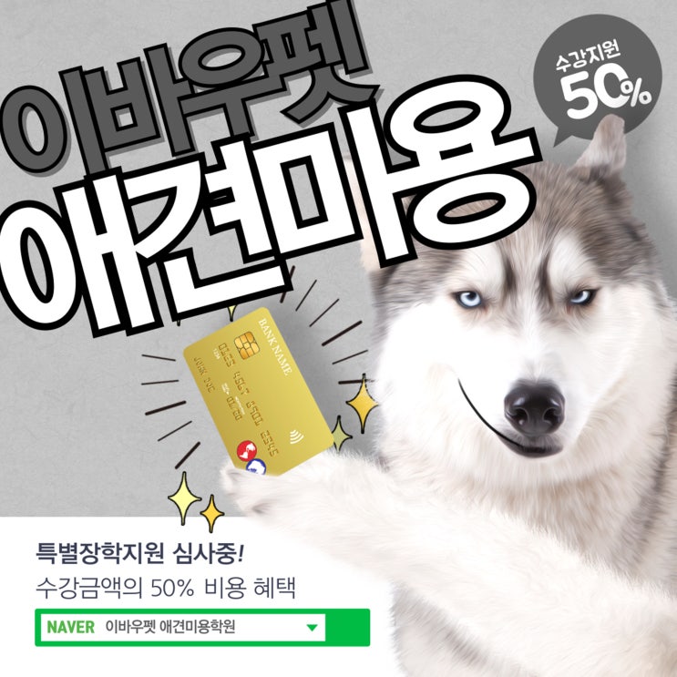  나주애견미용 반려동물 시대 자격증을 준비하는 이유는?