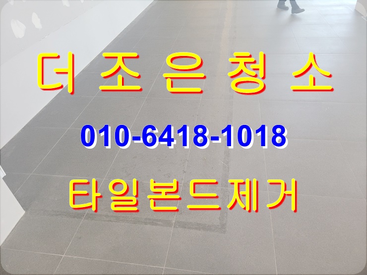  부산 포세린 타일 본드 제거, 타일 손상 없이 깔끔하게 해결