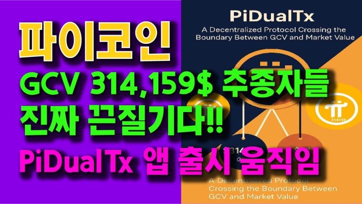  파이코인 GCV 314,159$ 추종자들 진짜 끈질기다!! PiDuaxTx 앱 출시움직임!!
