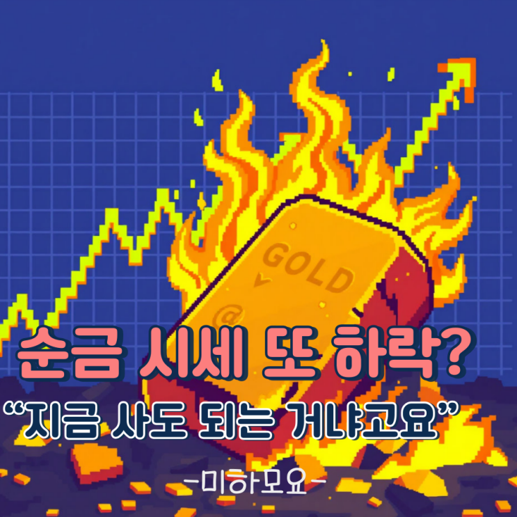 오늘 금값 보고 기절... 순금 시세 진짜 망한 건가요?