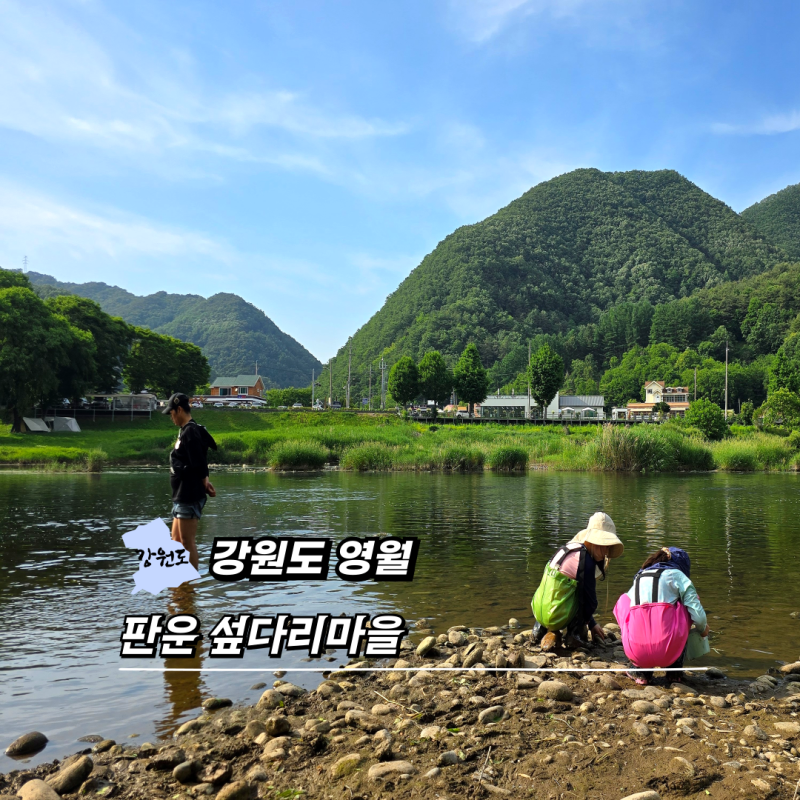 사진 3