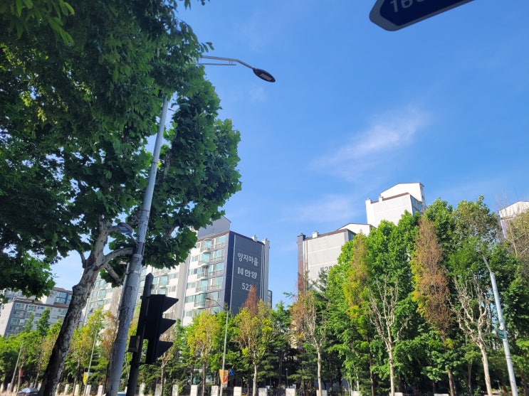  분당 재건축 분담금 7억원 시대? 임대주택 비율조정으로 조합원 부담 완화 기대