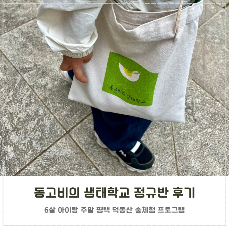  평택 숲체험 덕동산 동고비의 생태학교 정규반 후기