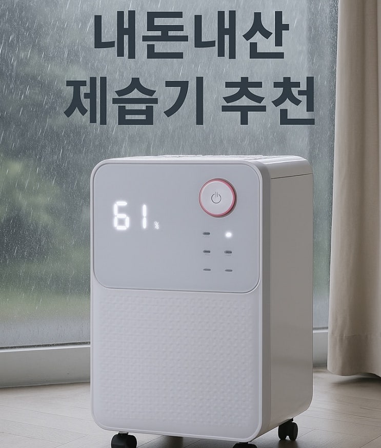 장마 이번주! XX 냄새 때문에 이혼 위기?! 3년사용 내돈내산 가성비 제습기 LDH-7000